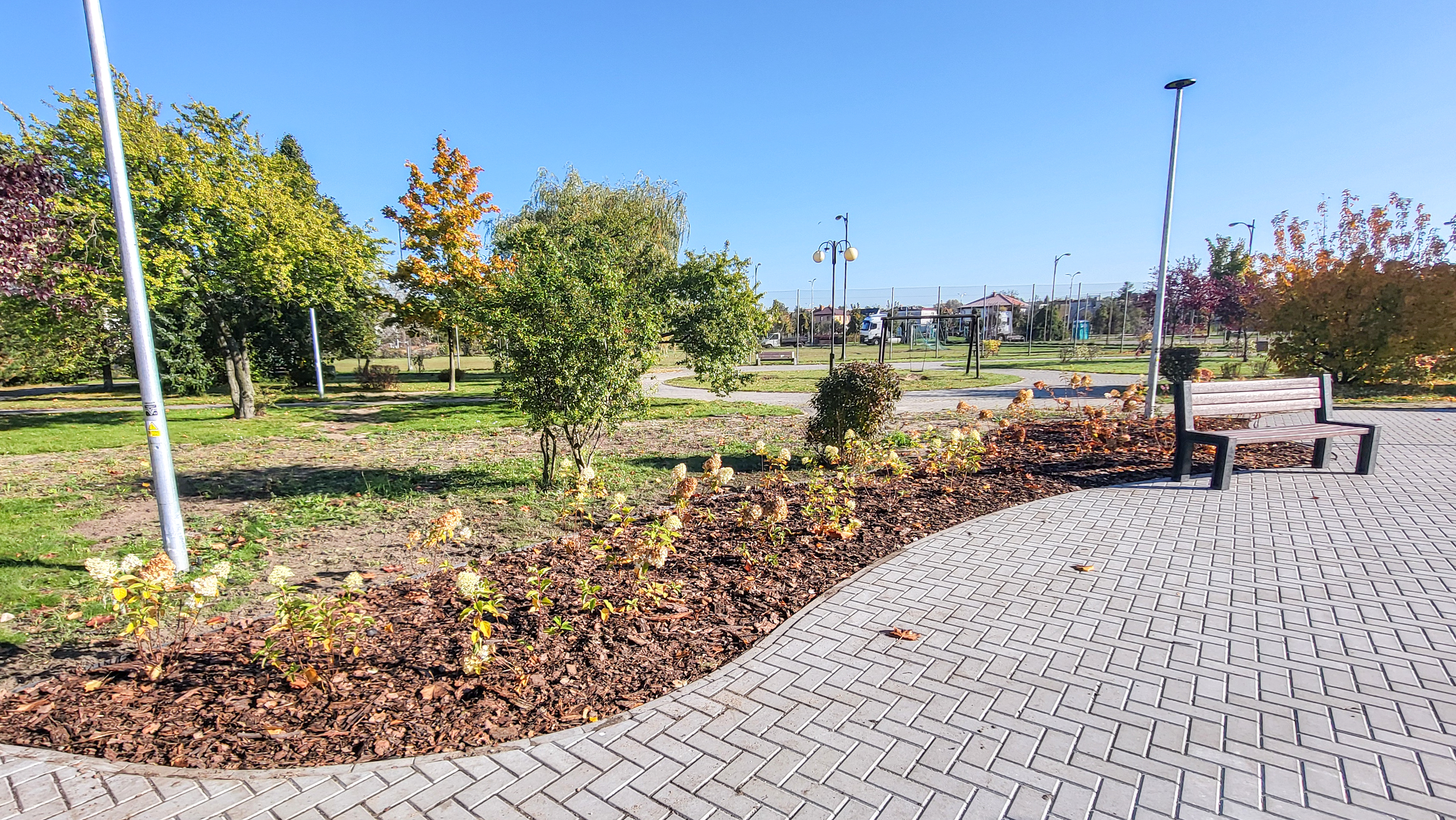 Nowe nasadzenia przy tężni solankowej (ul. Różana)